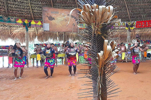 Panama City: Emberá-byn och kanottur på Chagres River