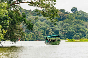 Panama stad: Båttur på Monkey Island