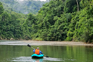 Panama: Den fullständiga regnskogsupplevelsen