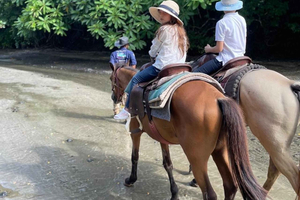 Playa Venao: tour a cavallo