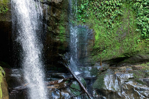 Puerto Viejo i Cahuita: wycieczka do 3 wodospadów, Talamanca, Limón