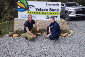 Volcan Bárü: Wanderung bei Sonnenaufgang mit Hotelabholung