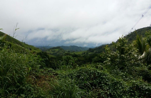 Cultural and Regional Attraction you must do and see in Los Santos Province, Panama
