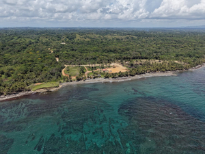 Arcadia Beach Panamá