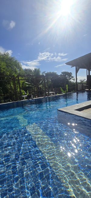 Bamboo Pool and Lodge