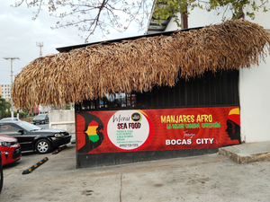 Bocas City