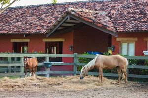 Holidays Tips for your January Trip to Panama