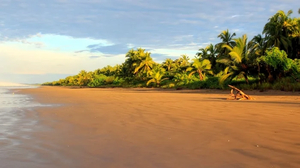 Things to do and visit in Panama City
