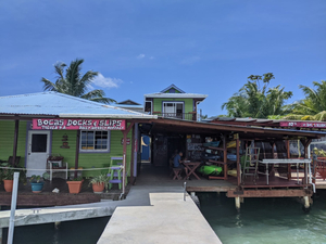 JJ's at Bocas Blended