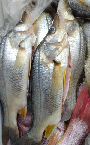 Mariscos Karina