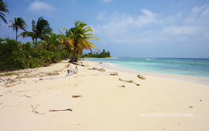 Masargandub Isla de Panamá San Blas