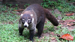 Metropolitan National Park