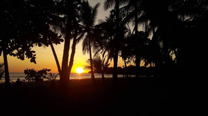 Campamento de Surf Oasis