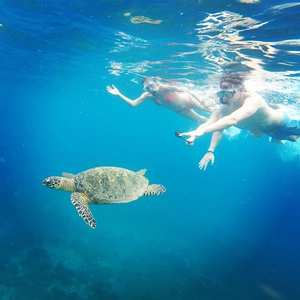 Pacific Adventure