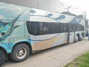 Parada Calle DUP