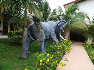Paradise Resort Hotel