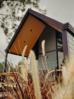 Sanagua Lodge