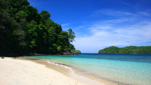 Santa Catalina