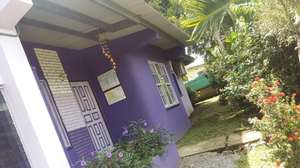 The Purple House International Backpackers Hostel