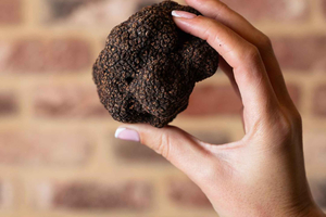 A truffle experience, from aperitif to dessert