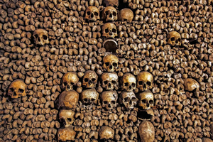 Pariisi: Catacombs Restricted Access Tour: Catacombs Restricted Access Tour (Katakombit)