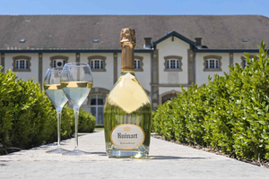 Champagne VIP Day from 8 Tastings & Michelin Lunch
