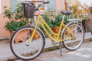 Day Bike Rental