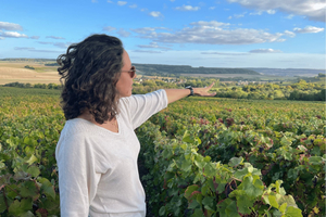 Von Paris aus: Weintagestour nach SANCERRE mit 10 Verkostungen und Mittagessen