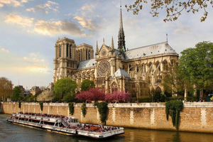 Guided tour to discover Notre Dame de Paris and Île de la Cité