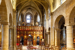Île de la Cité & Notre-Dame Guided Tour