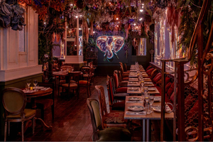 Immersive Lunch/Dinner in the Jungle