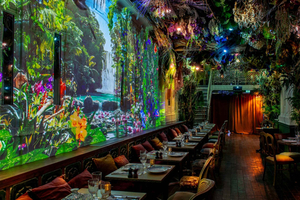 Immersive Lunch/Dinner in the Jungle