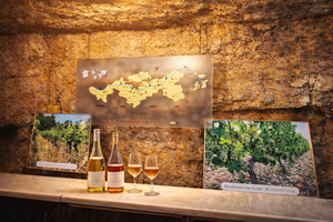 Ab Weintour durch das Loiretal – 2 Weingüter und 10 Verkostungen