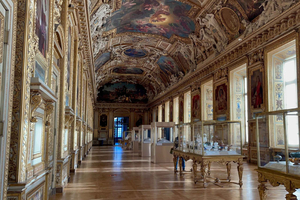 París: Louvre Mona Lisa Visita guiada privada con primera entrada