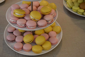 Macarons Class, Teatime and To-Go Box