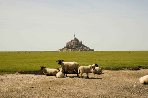 Normandia: Viagem de um dia às Praias do Dia D e ao Monte Saint-Michel