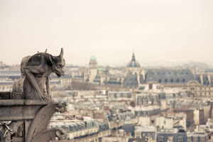 Parigi: tour guidato della cattedrale di Notre-Dame con upgrade