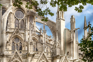 Visita guiada a Notre Dame com acesso à catedral