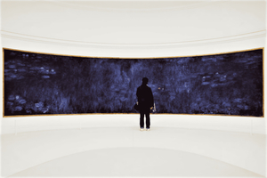 Eintrittskarte für das Musée de l'Orangerie und Ticket für eine Seine-Kreuzfahrt
