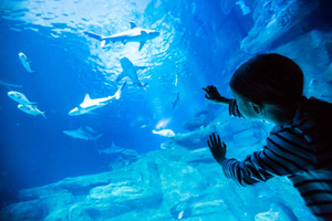 Paris: Aquarium de Paris Inngangsbillett