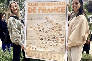 Excursão de queijos em aprenda a escolher e degustar queijos franceses