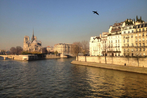 Paris: The vibrant city center and Le Marais in German