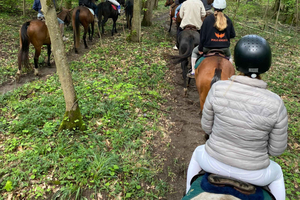 Private Horse Ride experience