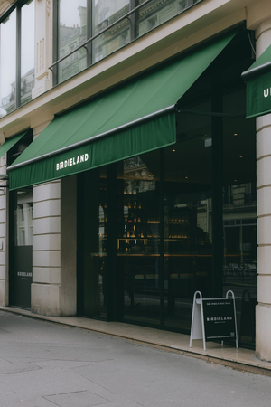 Birdieland