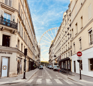 Hôtel 4 étoiles Royal Garden Champs-Elysées Paris