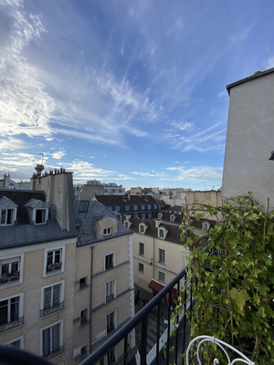 Hôtel Caron de Beaumarchais Paris Marais