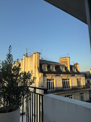 Hôtel du Rond Point des Champs Elysées Paris 8ème - Esprit de France