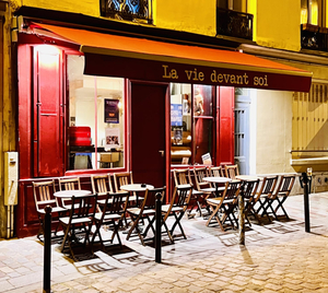 La Vie devant Soi