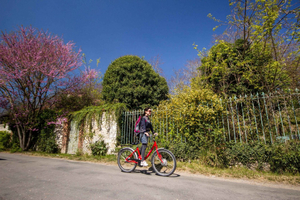 Vanuit Parijs: Monet Tuin & Giverny Fietstocht en Picknickstop