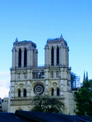 Paris Palms